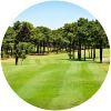 Image for Aroeira Pines Classic course