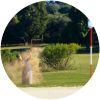 Image for National park Brijuni course